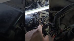 ланцер 9,не заводиться, горит предохранитель f8-20A