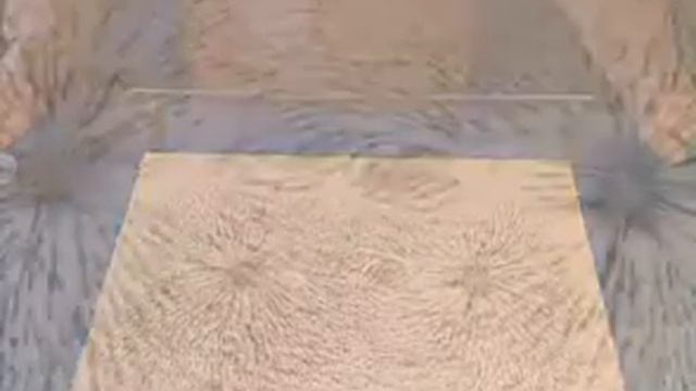 Получение картины силовых линий поля от пары магнитов 2 смотреть онлайн