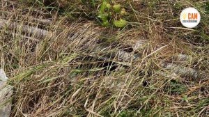 Водосток из канализационных труб. Вот это результат!