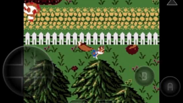 ZZ Rushes Through Conker's Pocket Tales смотреть онлайн