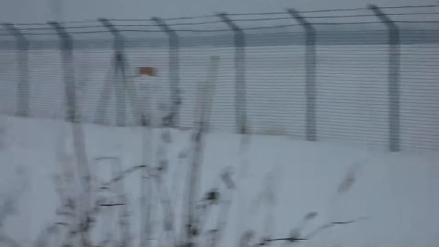 Обыкновенные чечетки смотреть онлайн