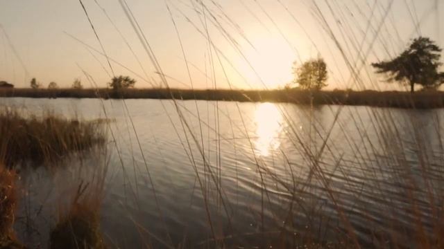 Что ещё понимать ... Роман Гостроверхов R. Studio