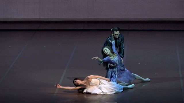 Lady Of The Camellias (Belyakov, Zakharova, Shipulina) Дама с камелиями(Беляков, Захарова, Шипулина