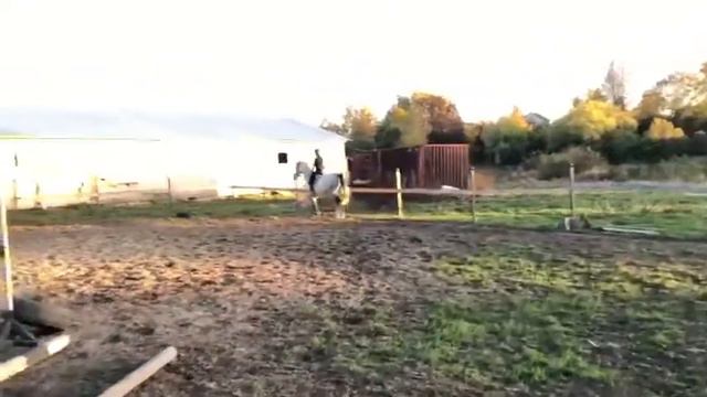 Начало схемы ППД от приветствия смотреть онлайн