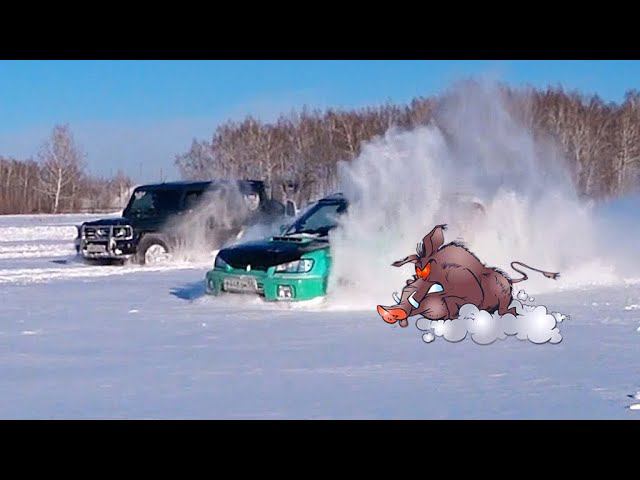 Дикий кабан отодрал всех ! Субару против Гелика смотреть онлайн