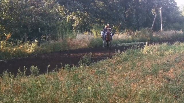 Дорогое Хобби фермера. В гостях на конезавод "Мустанг" смотреть онлайн