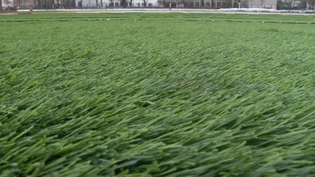 Зимой и летом одним цветом смотреть онлайн