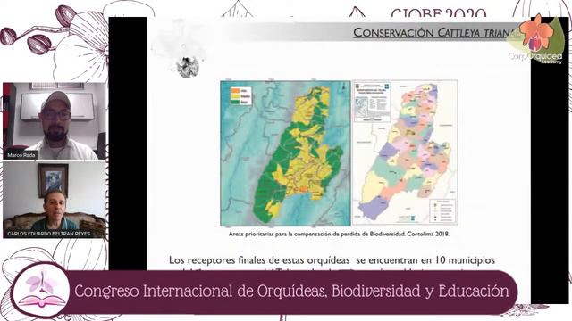 Conservación de Cattleya trianae en el campus de la Universidad de Ibagué | C. Beltrán | CIOBE2020 смотреть онлайн
