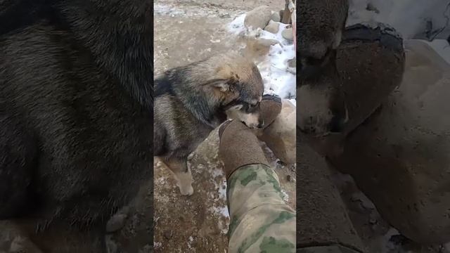 Моя ухрана) смотреть онлайн