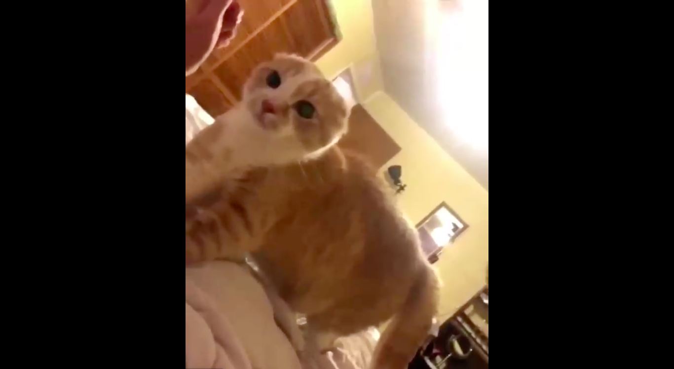 не узнал смотреть онлайн