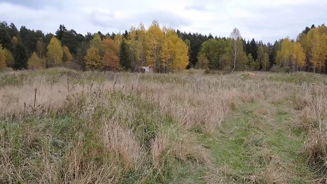 Выходной Металокоп На Ферме. Коп Металлолома В Окрестностях Деревень. И Отдохнул И Накопал. смотреть онлайн