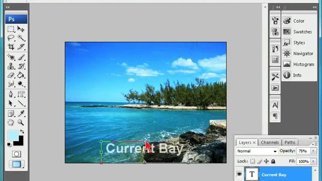 Adobe Photoshop | 5.1 Scaling Items (Abdullah Publish) смотреть онлайн