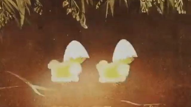 Балет невылупившихся птенцов смотреть онлайн