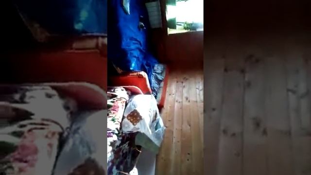 Забыла сказать привет!ц подружки с котом.кот упал с дивана!???