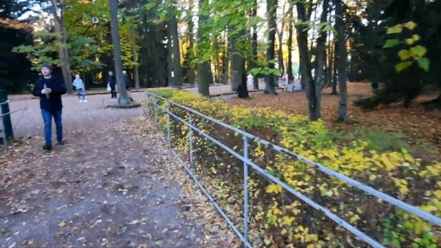 Осенний Петергоф, октябрь 2022 #петергоф #фонтаны - prianikov.ru смотреть онлайн