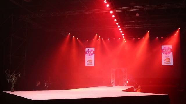 ECG Season 7 Finals - Denmark solo - Fantastic Beasts and where to find them смотреть онлайн
