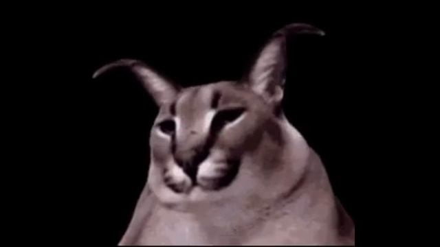🅰🅱🅾🅱🅰 FLOPPA смотреть онлайн