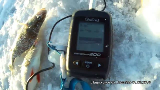 Ладога Леднево 02 03 2016 смотреть онлайн