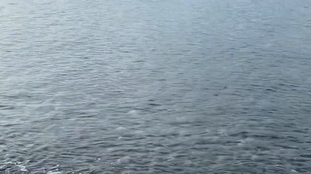 15.10.2022. Погода в Сочи в октябре. Смотри на Чёрное море каждый день. смотреть онлайн