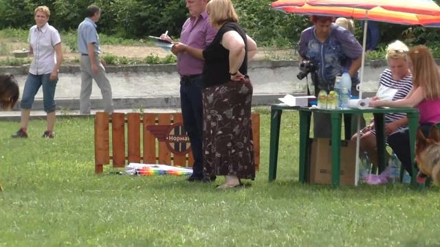 ТОЙФЕНЛАНД МАТРИЦА НОВОСИБИРСК КУБОК РКФ