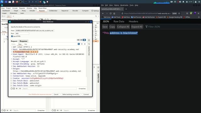 Web Socket Vulnerabilities Lab02 смотреть онлайн