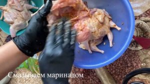 Жареные , сочные, вкусные Перепелки на сковороде под прессом  как табака.