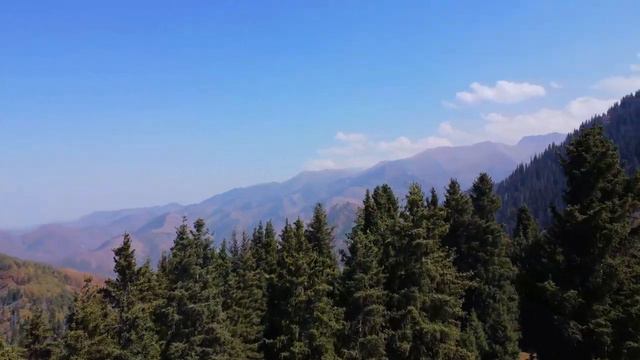 Cinematic Drone 4k video | Kazakhstan Almaty 10.09.22 Part V - Kok-Zhailau | DJI mini 2 смотреть онлайн