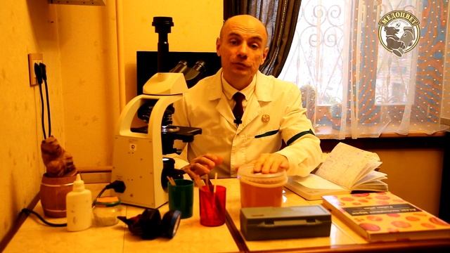 Какой Мёд мне принесли пчелы Мёд из Вологодской области Пыльцевой анализ Правило Мёда смотреть онлайн