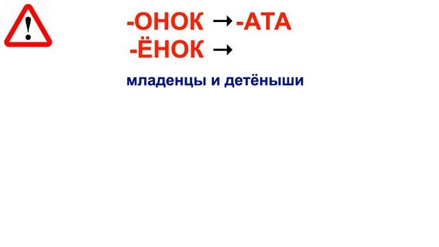 9. Мужской род множественное число - ОН и ОНИ. Упражнения. Plurals. Exercises. Liczba mnoga. смотреть онлайн