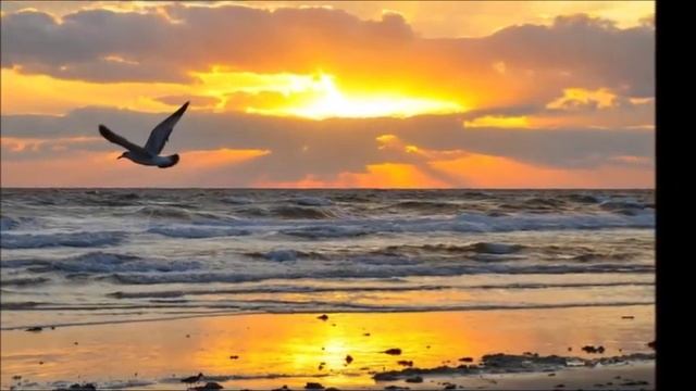 Море любви смотреть онлайн