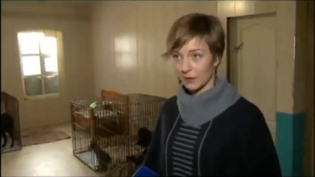 Пушистое счастье ! смотреть онлайн