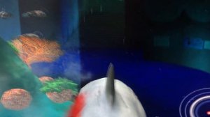 Jaws акула большой игра 1