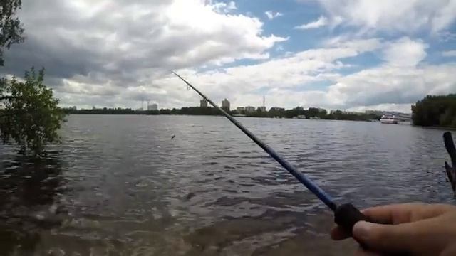 Major Craft  Vierra 762ML