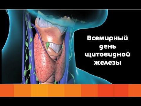 Женское здоровье и щитовидная железа смотреть онлайн