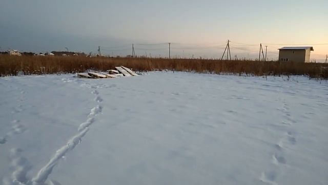 Влог Были на участке / Кто у нас там ходит? #ЗаходиНаЧай смотреть онлайн
