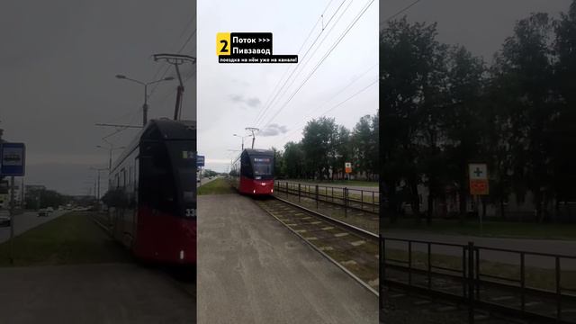 3307 прибывает на остановку Детская поликлиника номер 7.