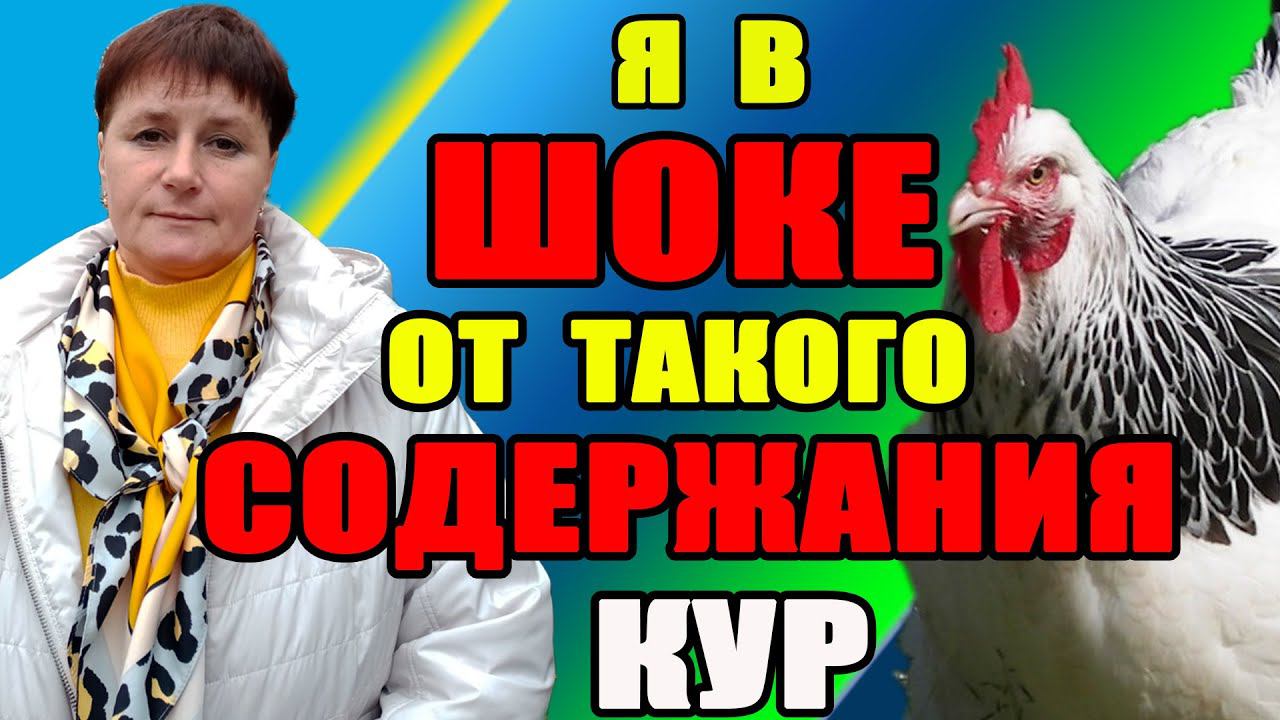 Я в ШОКЕ от такого содержания кур. Как НЕЛЬЗЯ содержать кур и цыплят. смотреть онлайн