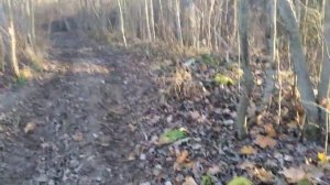 Оползни и обвалы