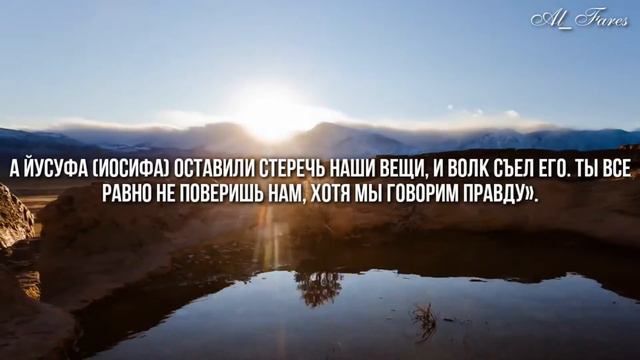 ...и лучше проявить терпение... Тарик Мухаммад смотреть онлайн