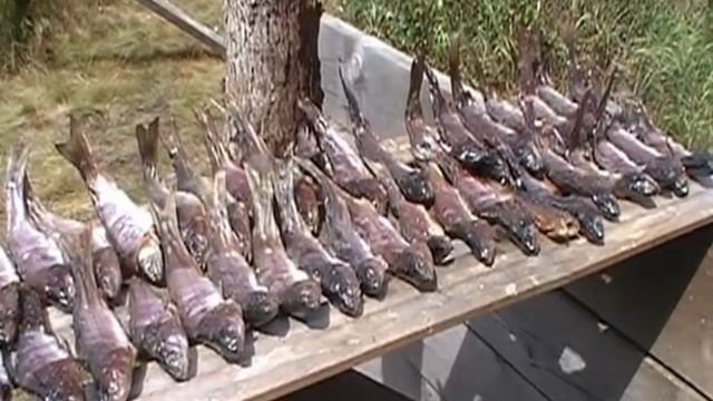 Выживание в Сибирской тайге 3 часть смотреть онлайн