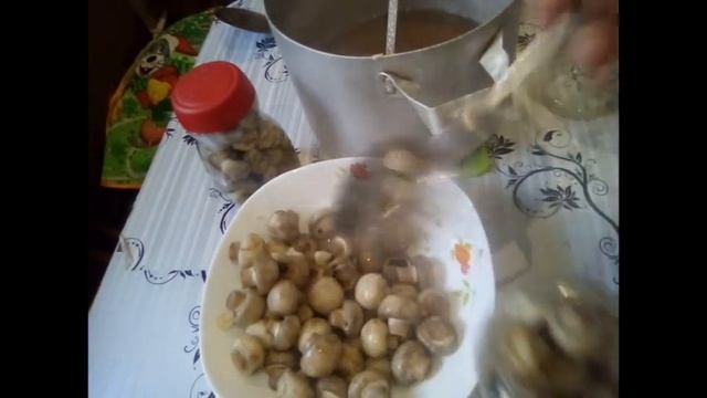 Маринованные шампиньоны. смотреть онлайн