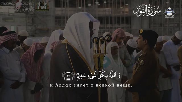 Сура [Свет 35]& [Ряды 14] шейх Сауд аш Шурейм смотреть онлайн