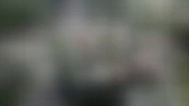 ✿➽ Гортензия Сандей Фрайз ?? сезон 2019 смотреть онлайн