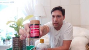 Филодендрон Малай Голд