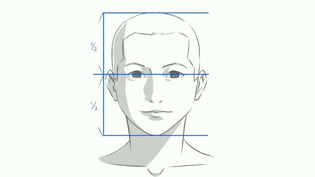 アニメーターが現場で実践している正面顔をキレイに描く方法【世界標準の顔の描き方⑤】 смотреть онлайн