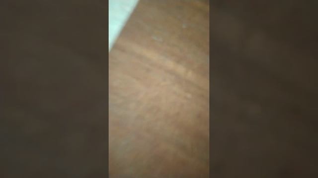 КАК ВСТАТЬ С ПОЛА ЕСЛИ ТЫ ЛЕЖИШЬ НА ПОЛУ?!?!??!!?!!??! смотреть онлайн