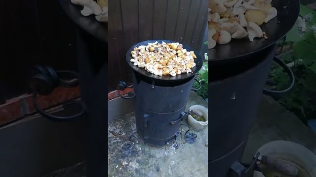 Картошка с курицей в казане на костре смотреть онлайн