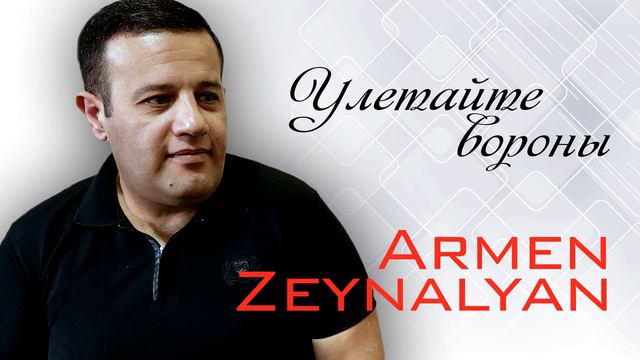 Армен Зейналян Улетайте вороны (Cover) смотреть онлайн