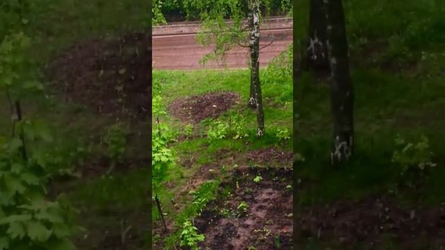 Доброе утро, други мои!!! Прямо сейчас в Брянске!!! 8 часов 15 минут по Московсому времени. Холодно смотреть онлайн