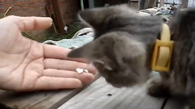 2010.07.24_01-Краснодарский край смотреть онлайн